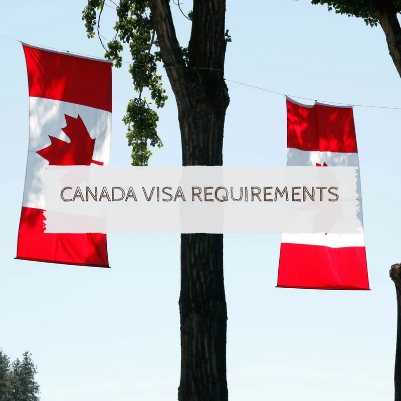 41892 uk visit visa cover letter 4