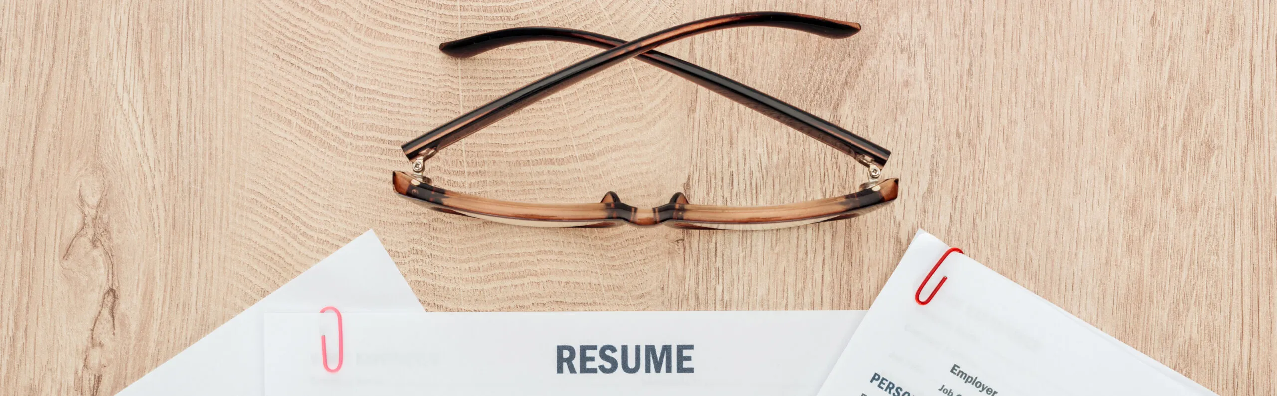 41924 professional resume